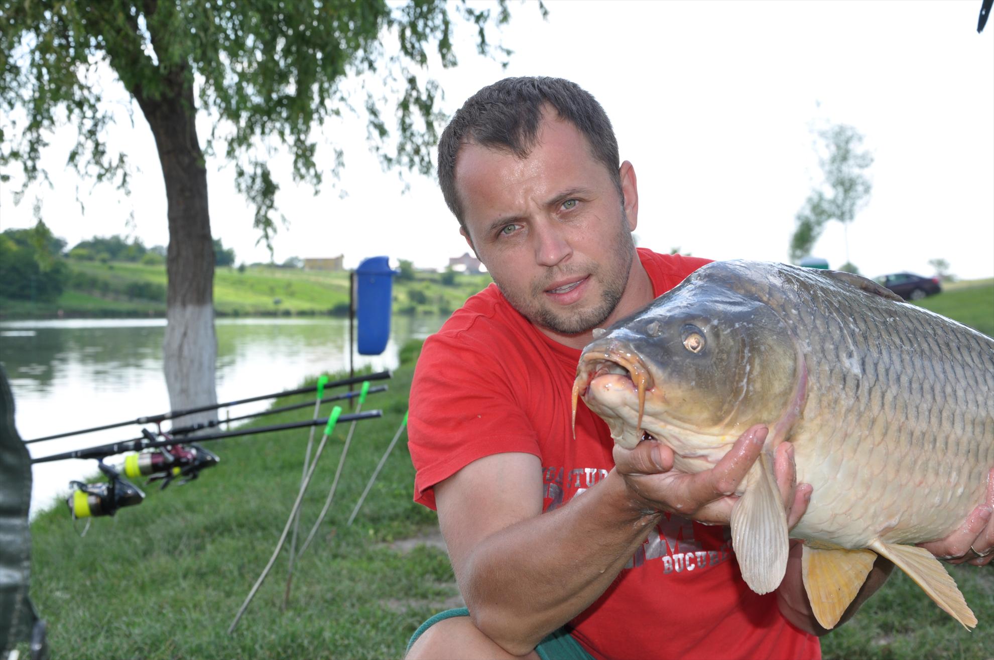 MV 2/3- 09/06/2013 - dsc0051.JPG